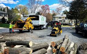 How Our Tree Care Process Works  in West Berlin, NJ